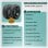 Cubierta Tubeless GEL Antipinchazos para smartGyro Speedway, Rockway y Crossover, Urbana