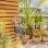 Automatischer Gartenbewässerungsregler Gardena Water Control Easy, 15 Programme, 2 AA Batterien