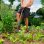 Ergonomische Gartenforke mit 4 Zähnen, D-förmigem Griff und hochwertigem Stahl