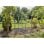 Gardena ErgoLine Teleskopspaten D-Form Griff Edelstahl 126 cm Schwarz