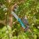 GARDENA StarCut Pro L Astsäge Teleskop 175-400 cm, 20 cm Schnitt, Präzise