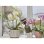Gardena Comfort 5L Drucksprühgerät + 0,75L Handsprüher mit verstellbarer Düse