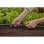 Gardena 13 mm Micro-Drip Verbindungstück Schwarz, einfache Installation und zuverlässige Verbindung
