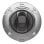 Caméra de surveillance Axis 02463-001 4K Vision Nocturne Intérieur et Extérieur Détection IA