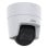 IP Kamera Axis M3128-LVE 4K Weiß Outdoor PoE mit digitalem PTZ und Nachtsicht