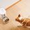 Alimentador Automático Inteligente Pawsync com Balança, Dupla Fonte de Alimentação e App Móvel