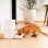 Alimentador Automático Inteligente Pawsync com Balança, Dupla Fonte de Alimentação e App Móvel