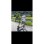 Patinete électrique UrbanGlide eCross Pro XS 500W 40km Autonomie 10" roues suspension LED Noir