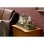 Set LEGO Architecture Castillo de Neuschwanstein 3455 Piezas Maqueta Coleccionable