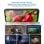 Smartphone HOTWAV Note 15 Pro 4GB 128GB 6.6" 4G Android 14 5160mAh