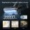 Aspirador Sem Fio Roborock F25 XT 20 000 Pa Sensor DirTect Autolimpeza 60 min app