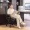 Homcom Silla De Escritorio Con Soporte Lumbar Inflable Respaldo Reclinable Negro