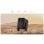 Proiettore Wanbo Mozart 1 Pro FullHD 1200 Lumen 120" Lampada LCD Google TV Smart