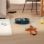 Robot Aspirador y Fregasuelos Cecotec Conga Y80 con Autovaciado Navegación Láser IA 13 000 Pa Mascotas