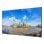 Moniteur Hikvision 55" LCD FHD 60Hz Direct-lit LED Noir