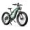 Bicicletta elettrica DUOTTS E26 motore 750W 48V batteria Samsung 20Ah sospensione totale