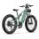 Bicicletta elettrica DUOTTS E26 motore 750W 48V batteria Samsung 20Ah sospensione totale