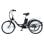 Tricycle électrique GOGOBEST GF100 350 W 36 V 15 Ah 24x2,125 Shimano 7 vitesses panier