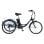 Tricycle électrique GOGOBEST GF100 350 W 36 V 15 Ah 24x2,125 Shimano 7 vitesses panier