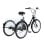 Tricycle électrique GOGOBEST GF100 350 W 36 V 15 Ah 24x2,125 Shimano 7 vitesses panier