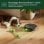 Robot Aspirador iRobot Roomba Max 705 Combo com Base AutoWash e mopa autolimpeza