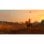 RED DEAD REDEMPTION CIAB SWITCH
