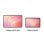 Tablette puissante Samsung Galaxy Tab S11 Ultra Wi-Fi 14,6 pouces 512 Go avec IA et stylet S Pen Gris