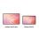 Tablet Samsung Galaxy Tab S11 WiFi 11" 12GB 256GB Gris Stylus Pen