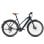 Bicicletta elettrica Fafrees F700W motore 250 W batteria 36 V 10 Ah freni idraulici