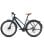 Bicicletta elettrica Fafrees F700W motore 250 W batteria 36 V 10 Ah freni idraulici