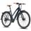 Bicicletta elettrica Fafrees F700W motore 250 W batteria 36 V 10 Ah freni idraulici