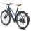 Bicicletta elettrica Fafrees F700W motore 250 W batteria 36 V 10 Ah freni idraulici