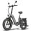 Bicicletta elettrica Fafrees FF20 Polar doppia batteria 48V 500W gomme 20x4.0 alluminio pieghevole