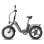 Bicicletta elettrica Fafrees FF20 Polar doppia batteria 48V 500W gomme 20x4.0 alluminio pieghevole