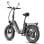 Bicicletta elettrica Fafrees FF20 Polar doppia batteria 48V 500W gomme 20x4.0 alluminio pieghevole