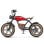 Bicicleta eléctrica Hidoes B10 motor 1000W frenos doble disco fat tyre mochila central