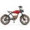 Bicicleta eléctrica Hidoes B10 motor 1000W frenos doble disco fat tyre mochila central