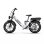 Bicicletta elettrica OT08Pro doppia batteria 500W doppia sospensione 20x4.0 cambio Shimano 7V