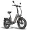 Vélo électrique FF20 Polar double batterie 500 W 170 km LCD homologué route UE