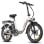 Vélo électrique F20+ Cadre intégré Batterie 20 Ah Autonomie 90 km Moteur 250 W LCD
