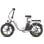 Vélo électrique F20+ Cadre intégré Batterie 20 Ah Autonomie 90 km Moteur 250 W LCD