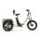 Triciclo eléctrico OT30Pro motor 500W batería 48V 18Ah plegable carga 180kg todoterreno
