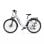 E-Bike Onesport OT05 Pro 36V 22.5Ah 250W 7-Gang Shimano LCD Hydraulische Scheibenbremsen Bluetooth