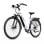 E-Bike Onesport OT05 Pro 36V 22.5Ah 250W 7-Gang Shimano LCD Hydraulische Scheibenbremsen Bluetooth