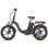 Bicicleta eléctrica ENGWE F20+ Pro plegable batería 22,5 Ah motor 250 W LCD camaleón
