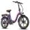 Bicicleta eléctrica F20+ Pro batería 22,5 Ah motor 250 W plegable chasis aluminio camaleón