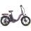 Bicicleta eléctrica F20+ Pro batería 22,5 Ah motor 250 W plegable chasis aluminio camaleón