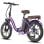 Bicicleta eléctrica F20+ Pro batería 22,5 Ah motor 250 W plegable chasis aluminio camaleón