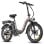 Vélo électrique F20+ Batterie 20 Ah 90 km Moteur 250 W Cadre intégré LCD