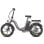 Vélo électrique F20+ Batterie 20 Ah 90 km Moteur 250 W Cadre intégré LCD